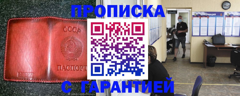 прописка гарантия в Курчалом